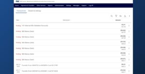 ANB Go Business Account History