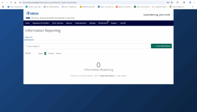 Screenshot of the reports page on ANB Go Business